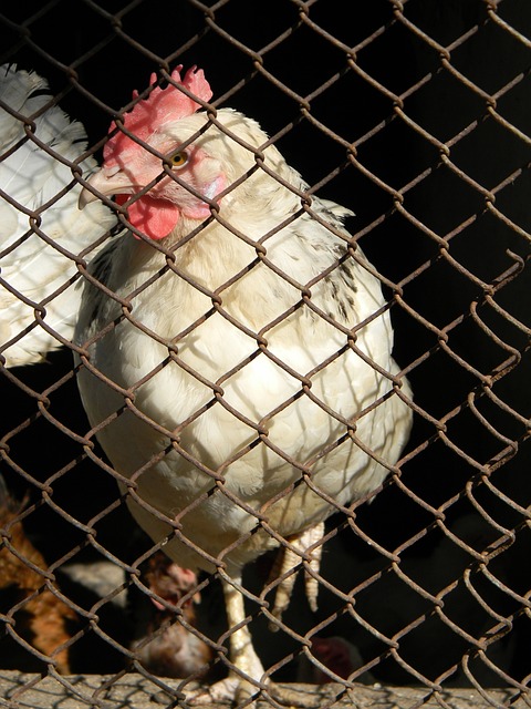 更显现出了 更显现出了