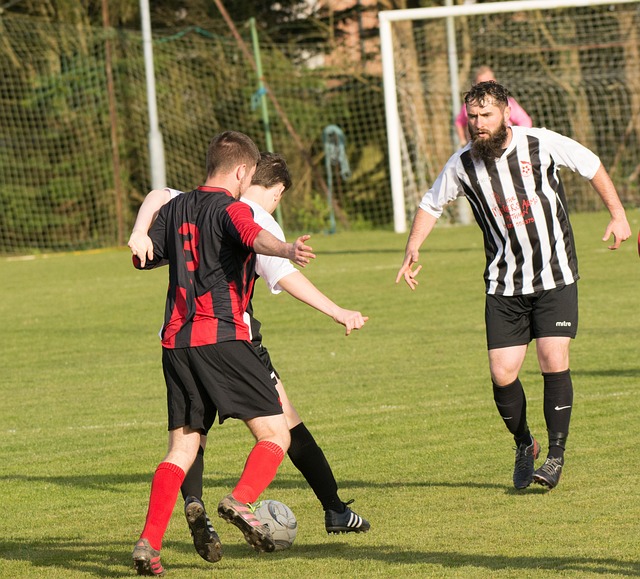 幾乎所有人 幾乎所有人